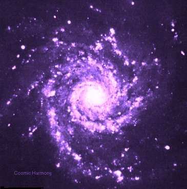 M74 Galaxy