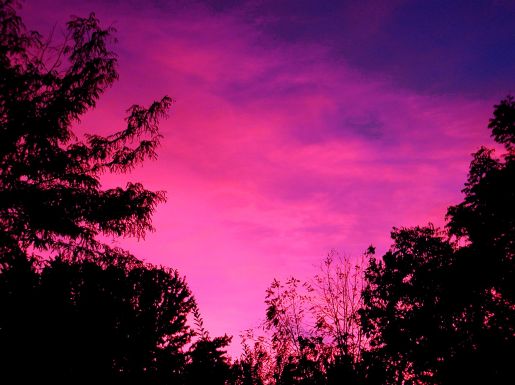 Pink Sky