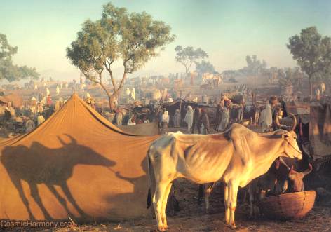Scenes of India.  Rajasthan bazaar