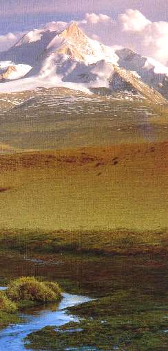 Immense Open Expanses of Tibet